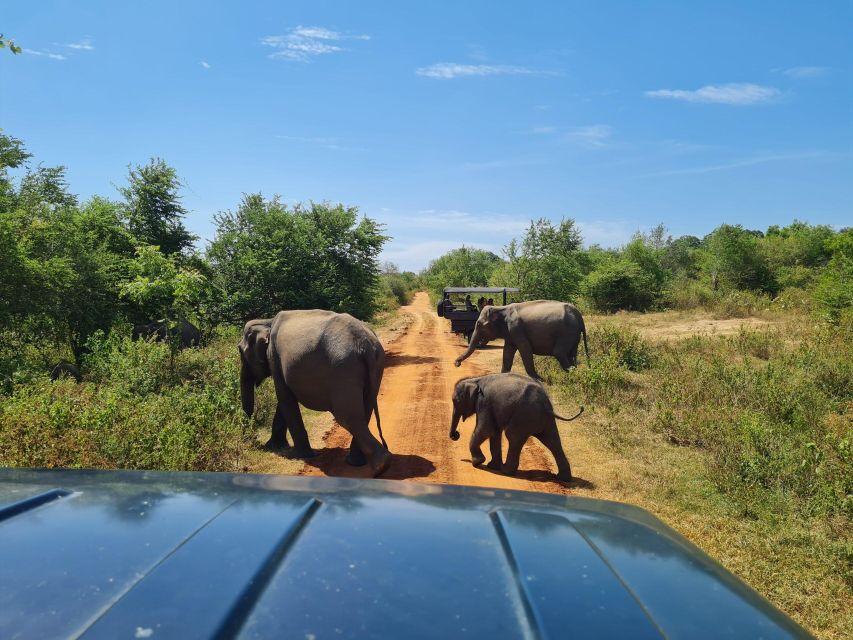 Colombo/Bentota/Kandy to Udawalawa National Park Safari Tour - Payment and Booking Options