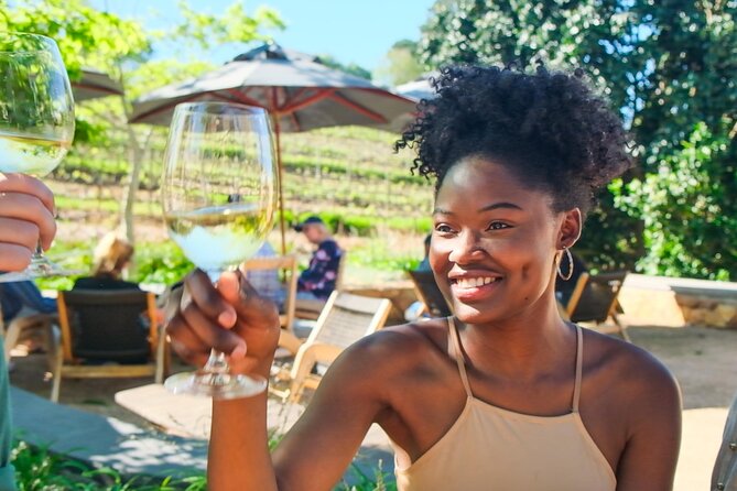 Constantia Wine Walk Storytelling Vineyard Tour With Lunch - Health and Accessibility