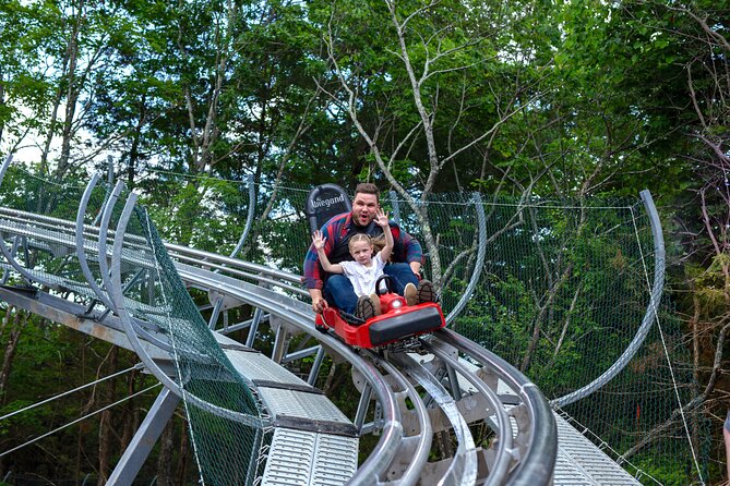 Copperhead Mountain Coaster - Accessibility Considerations