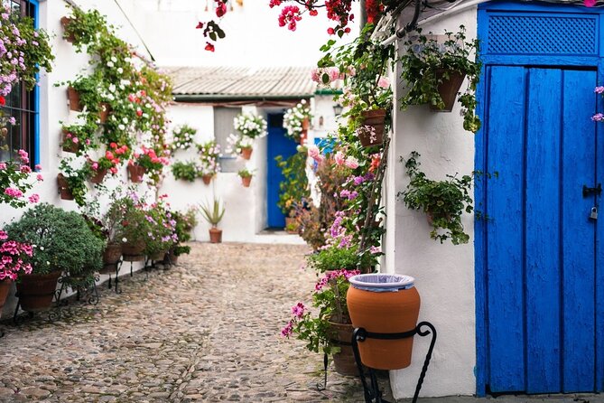 Cordoba Full Day Trip With Mosque Entrance From Costa Del Sol - Customer Feedback