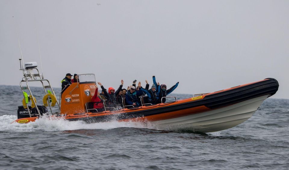 Cornwall: Guided Seal Safari by Boat - Safety and Accessibility