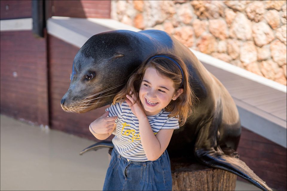 Costa Den Blanes: Entry Ticket for Marineland Mallorca - Cancellation Policy