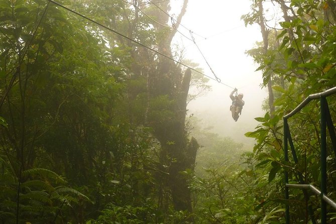 Costa Rica Adventure Package Beach and Rainforest 8 Days - Customer Reviews