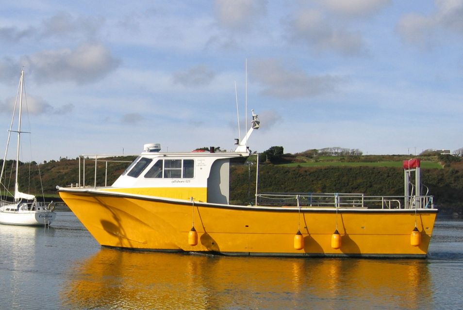 County Cork: Whale & Dolphin Watching Boat Trip - Essential Items to Bring