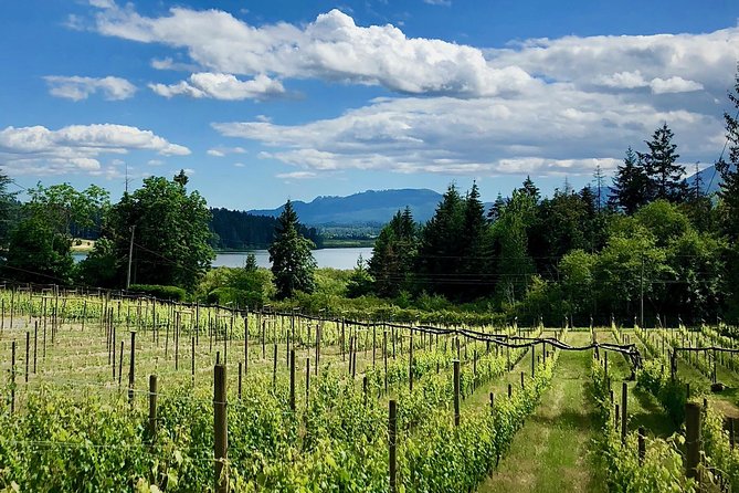 Cowichan Valley Premium Wine Tour - Customer Feedback