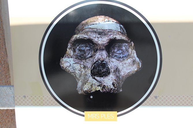 Cradle of Human Kind Tour - Maropeng and Wondercave Tour - Traveler Experiences and Feedback