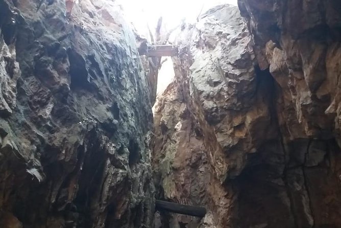 Cradle of Humankind World Heritage Site - Discovering Significant Fossil Finds