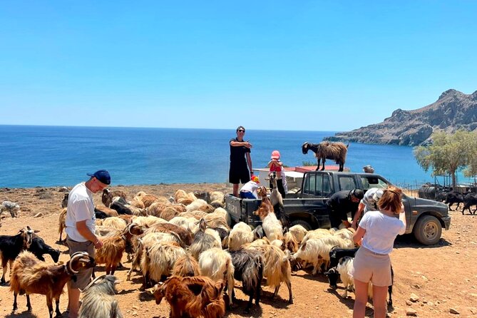 Crete: Jeep Safari, Mountains, Goat-Keeping & Cheese Making - Pickup and Logistics