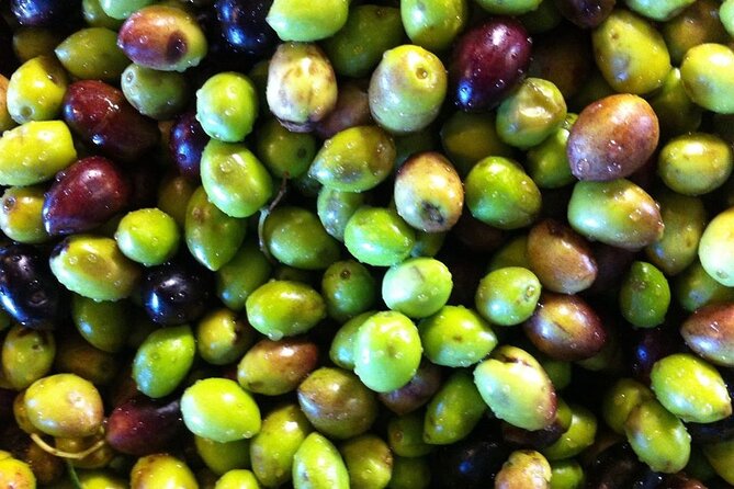 Crete: Olive, Wine, Raki - Flavorful Culinary Journey - Indulging in Cretan Cuisine