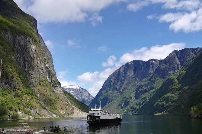 Cruise Special: Private Trip To Canyons And Waterfalls With Flåm Railway - Accessibility Features