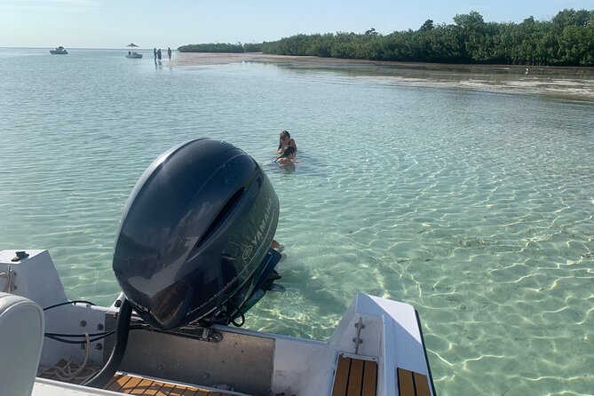 Custom Charters With a Local Captain - Reviews and Testimonials