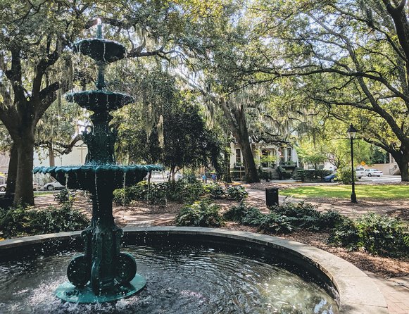 Custom Savannah Private Tour - Traveler Experiences and Feedback