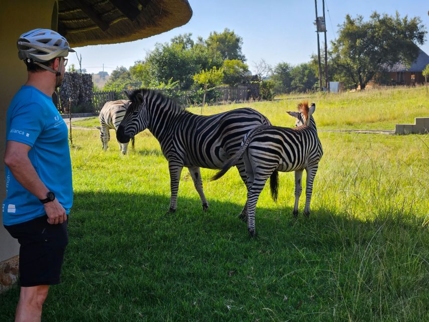 Cycle With Wild Animals (No Predators, Quality Cycles) - What to Expect During the Tour