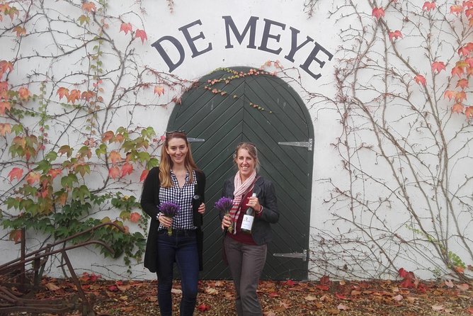 Daily Different Small Group WINE Tour - STELLENBOSCH PICKUP Only - Wine Tasting Experience