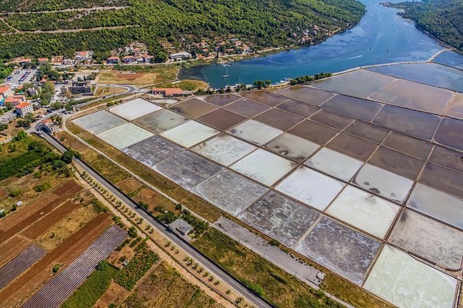 Dalmatian Flavors:Farm to Table Food Experience & Oyster Picking & Wine Tasting - Indulging in Dalmatian Wine Tasting