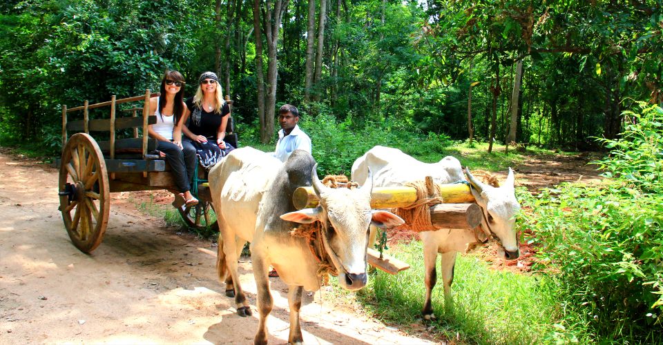 Dambulla: Cave Temple and Village All-Inclusive Tour - Important Information