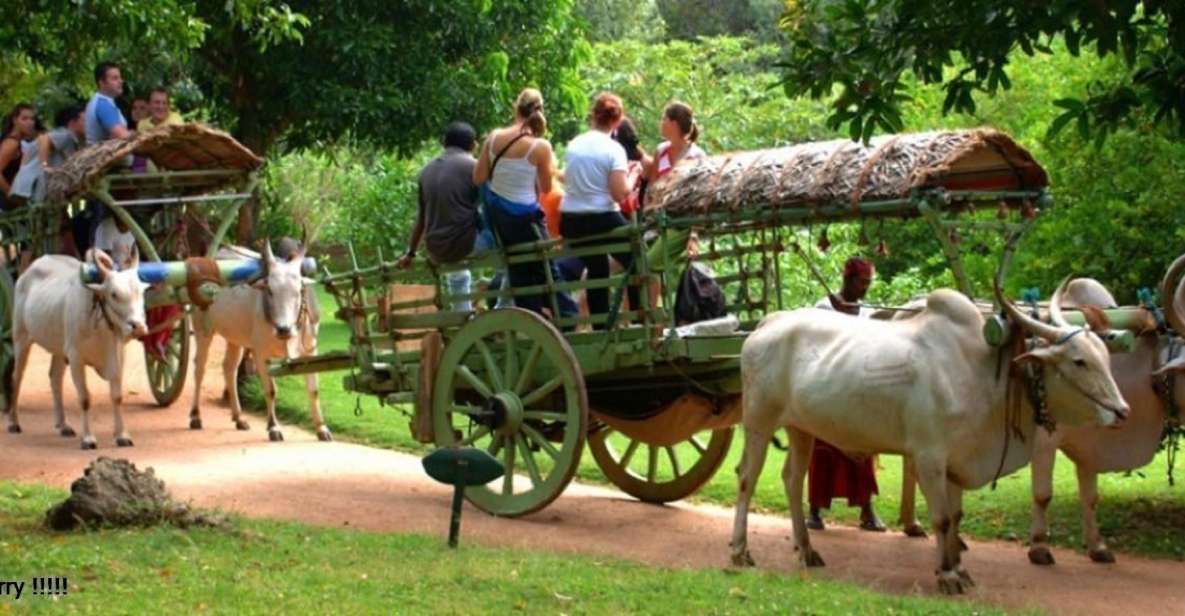 Dambulla: Caves Temple & Traditional Village Tour With Lunch - Inclusions and Extras