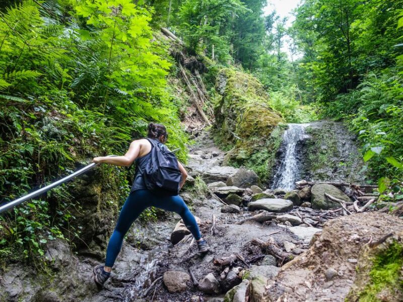 Danube Bend: Full-Day Hiking Tour From Budapest - Customer Reviews