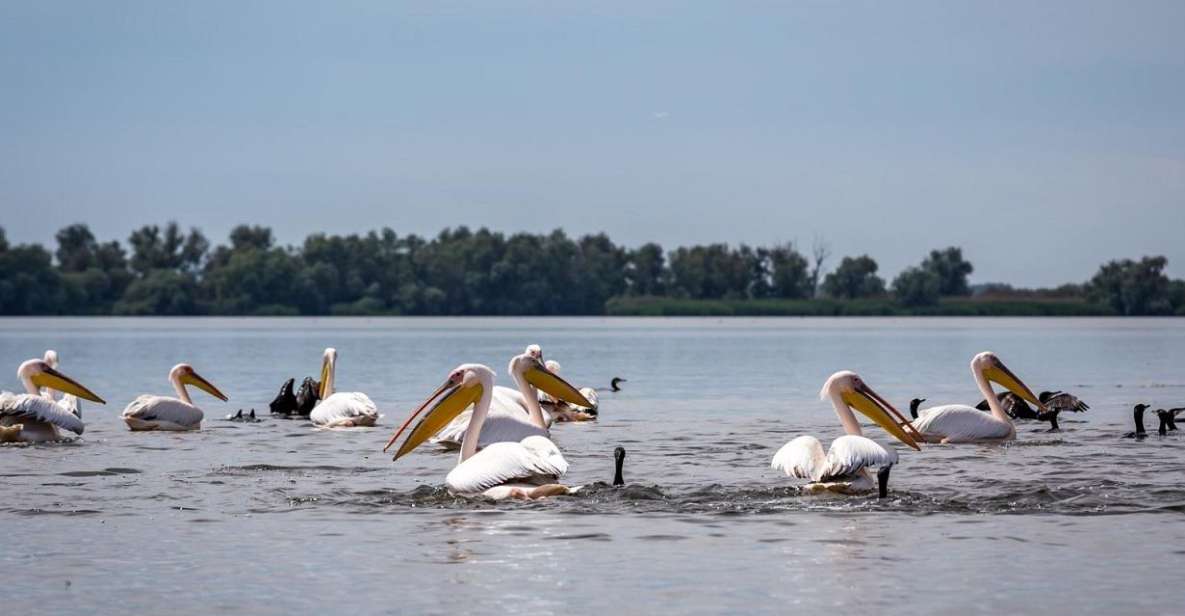 Danube Delta - 2-Day Tour From Bucharest - Experience the Danube Delta