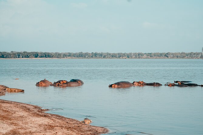 Day Safari Tour Selous Game Reserve - Accessibility and Participation Requirements