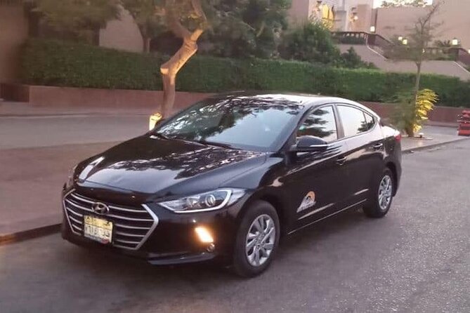 Day Tour to Aswan From Luxor by Private Car - Traveler Experiences