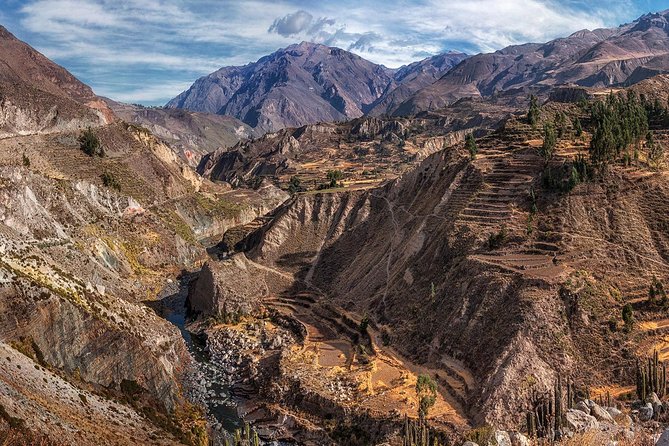 Day Tour to Colca Canyon From Arequipa - Booking Confirmation and Policies