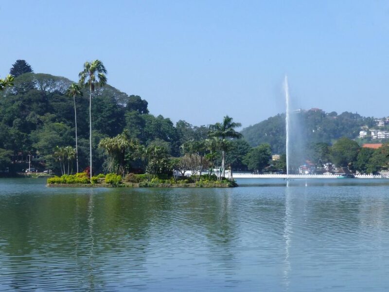 Day Tour To Kandy From Colombo - Day 2: Botanical Gardens and Tea Factory