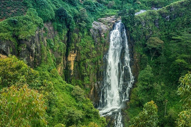 Day Tour to Nuwara Eliya From Kandy by Lux Tours Lanka - Contact Information