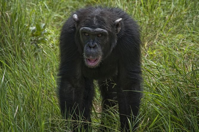 Day Tour to Ol Pejeta Conservancy - Logistics and Timing