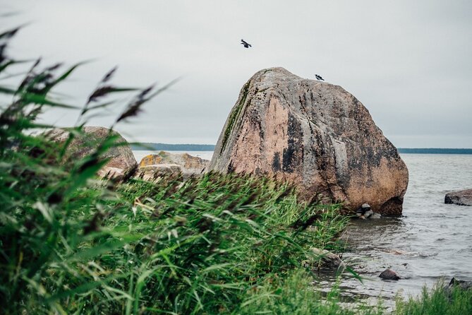 Day Trip to Land of Bays, the Romantic North-Coast From Tallinn - Confirmation and Booking Details