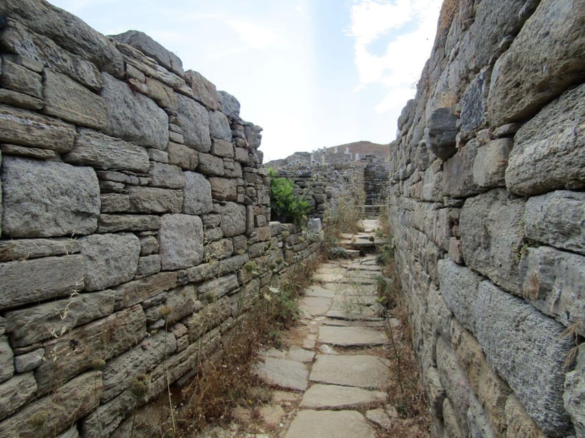 Delos: Only Audio-Guided Tour of the Arheological Site - Visitor Information and Recommendations