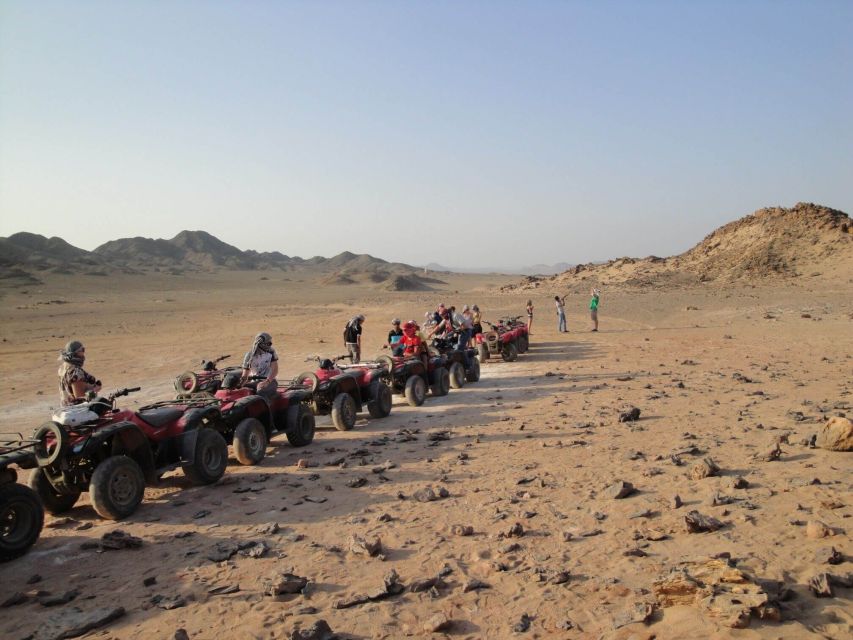 Desert Sunset Quad Biking Safari, Dinner, Camel Ride - Customer Reviews