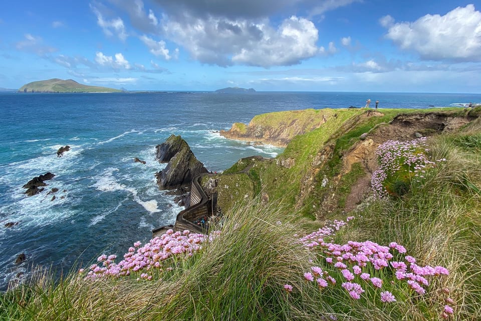 Dingle: Slea Head Photo And Sightseeing Tour - Inclusions and Amenities