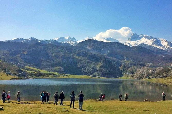 Direct Tour to Covadonga Lakes Picos De Europa From Oviedo - Cancellation Policy