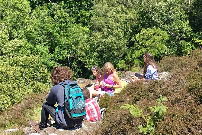 Discover Scotland Off the Beaten Track - Meeting Point and Pickup