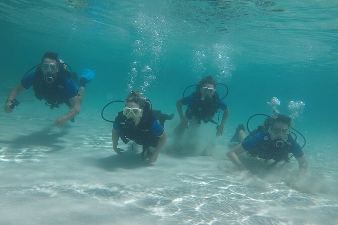 Discover Scuba Diving - Exceptional Customer Experiences