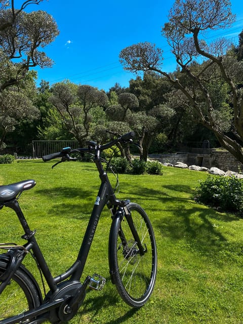 Discover the Massif Des Alpilles by Bike - Participant Restrictions and Safety Information