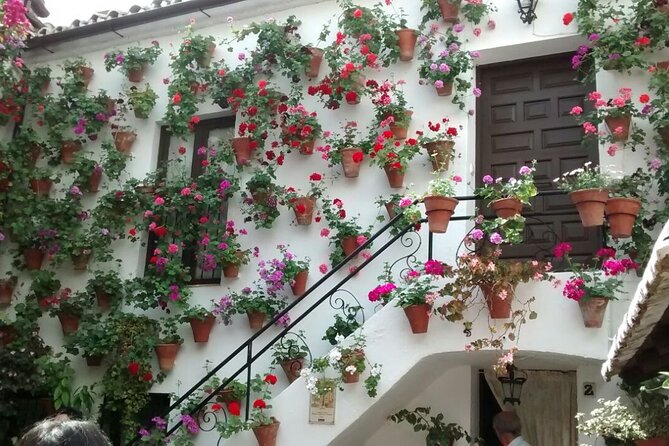 Discover the Patios of Córdoba: Guided Tour - Traveler Reviews and Ratings