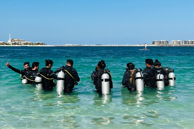 Discovery Scuba Diving in Dubai - What to Expect Underwater