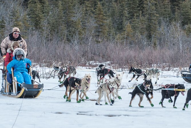 Dog Sledding - Subarctic Wilderness Tour - Tips for Participants