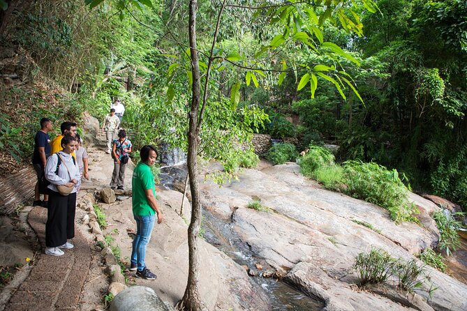Doi Suthep and Wat Pha Lat Sunrise Private Tour – Half Day - Scenic Views and Photography