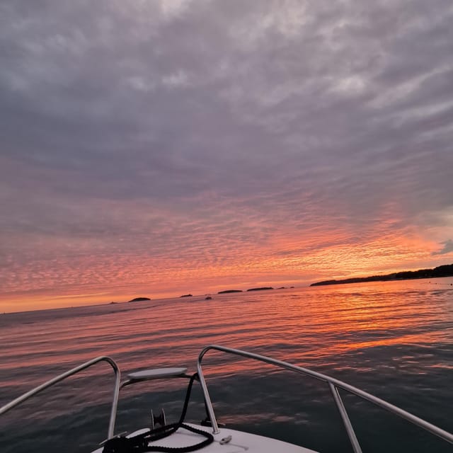 Dolphin Private Sunset Tour Rovinj - Meeting Point