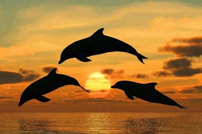Dolphin Tour, Jozani Forest, Jambiani Kuza Cave, Paje Beach &The Rock Restaurent - Dining at The Rock Restaurant