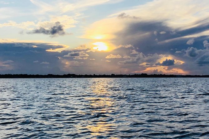 Dolphin Tours Along and Near the Beautiful Indian River Lagoon - Traveler Reviews and Experiences
