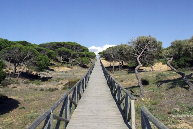 Donana National Park Horse or 4x4 Riding Day Trip - The Sum Up