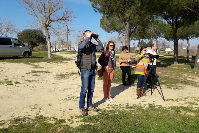 Doñana National Park in 4x4 and El Rocío - Pricing and Cancellation