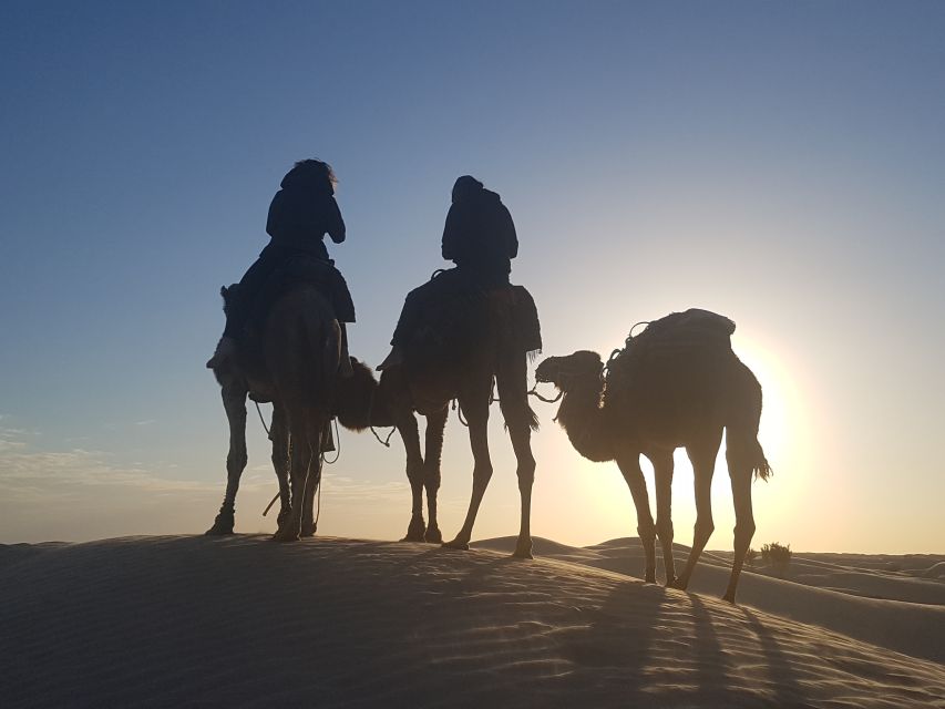 Douz 2-Day Sahara Desert Camel Trek - Bedouin Hospitality and Cuisine