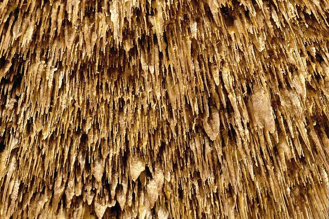 Drach Caves With Port Cristo and Pearl Shop Mallorca Full Day Tour - Visiting Lake Martel