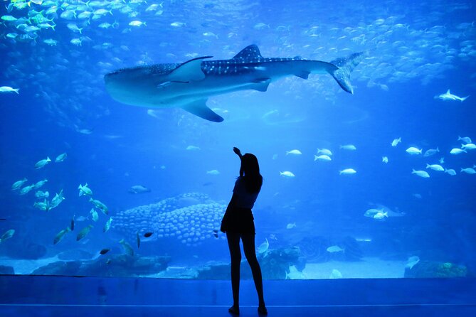 Dubai Aquarium and Underwater Zoo - Holiday Crowds