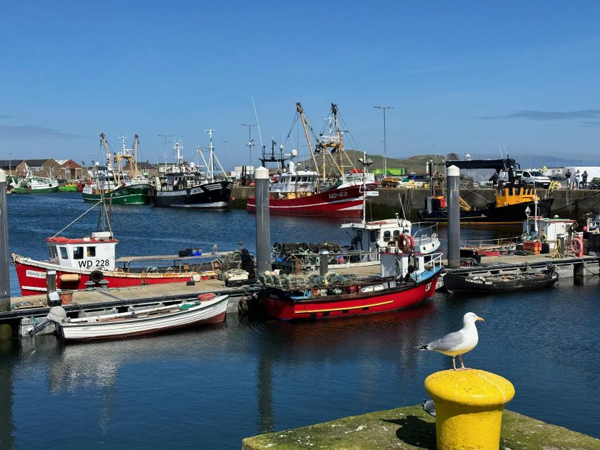 Dublin: Howth Coastal Hiking Tour - Customer Reviews